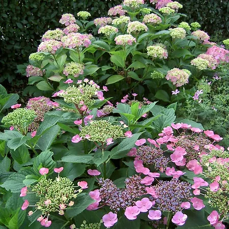 In Near Meinweg Park * Posterholt