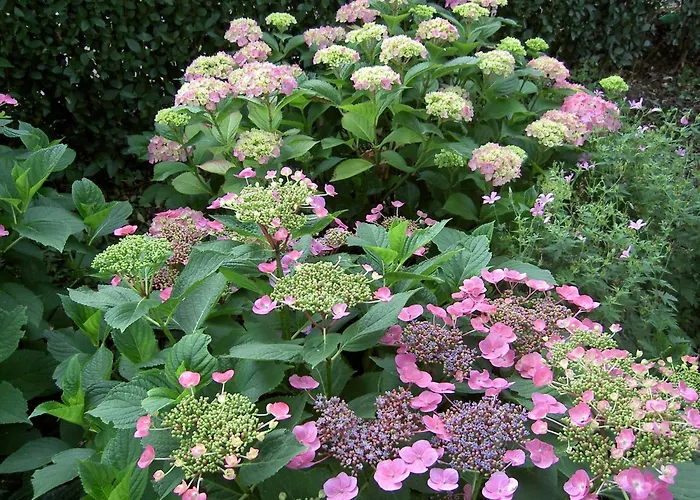 Apartment In Posterholt Near Meinweg Park * Posterholt