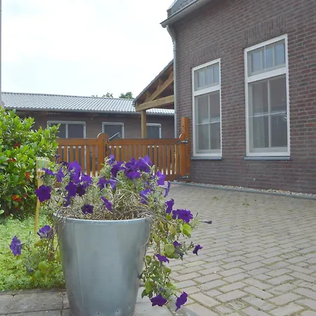 In Near Meinweg Park Posterholt