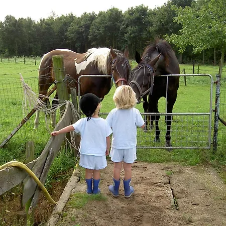 In Near Meinweg Park アパート