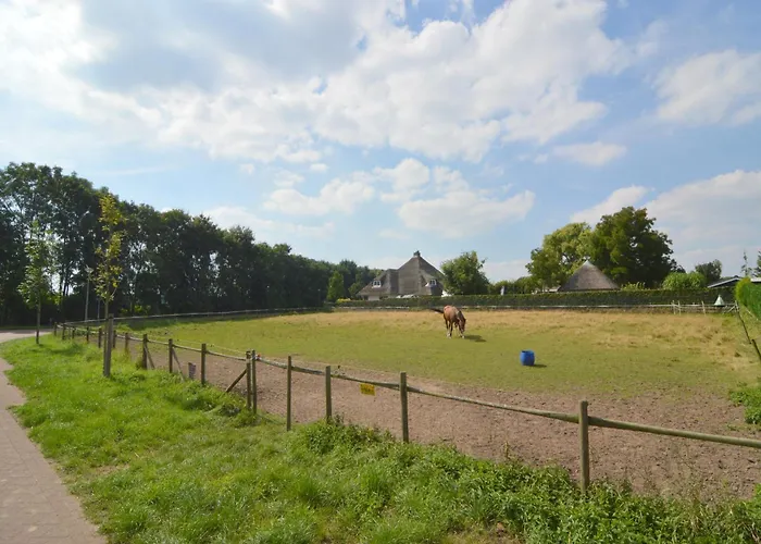 In Near Meinweg Park