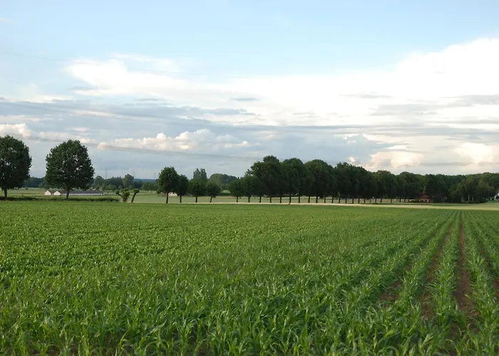 In Near Meinweg Park شقة *