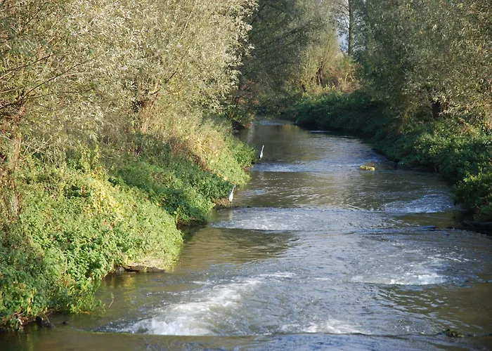 In Near Meinweg Park شقة Posterholt